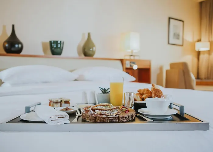 酒店 伊斯坦堡君悦酒店 伊斯坦布尔